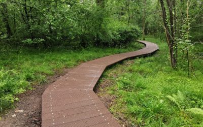 The Importance of AIPs and Calculations in GRP Bridge and Boardwalk Design