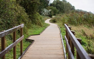 A Royal Connection: Polydeck Infrastructure Supports the Newly Opened King Charles III England Coast Path
