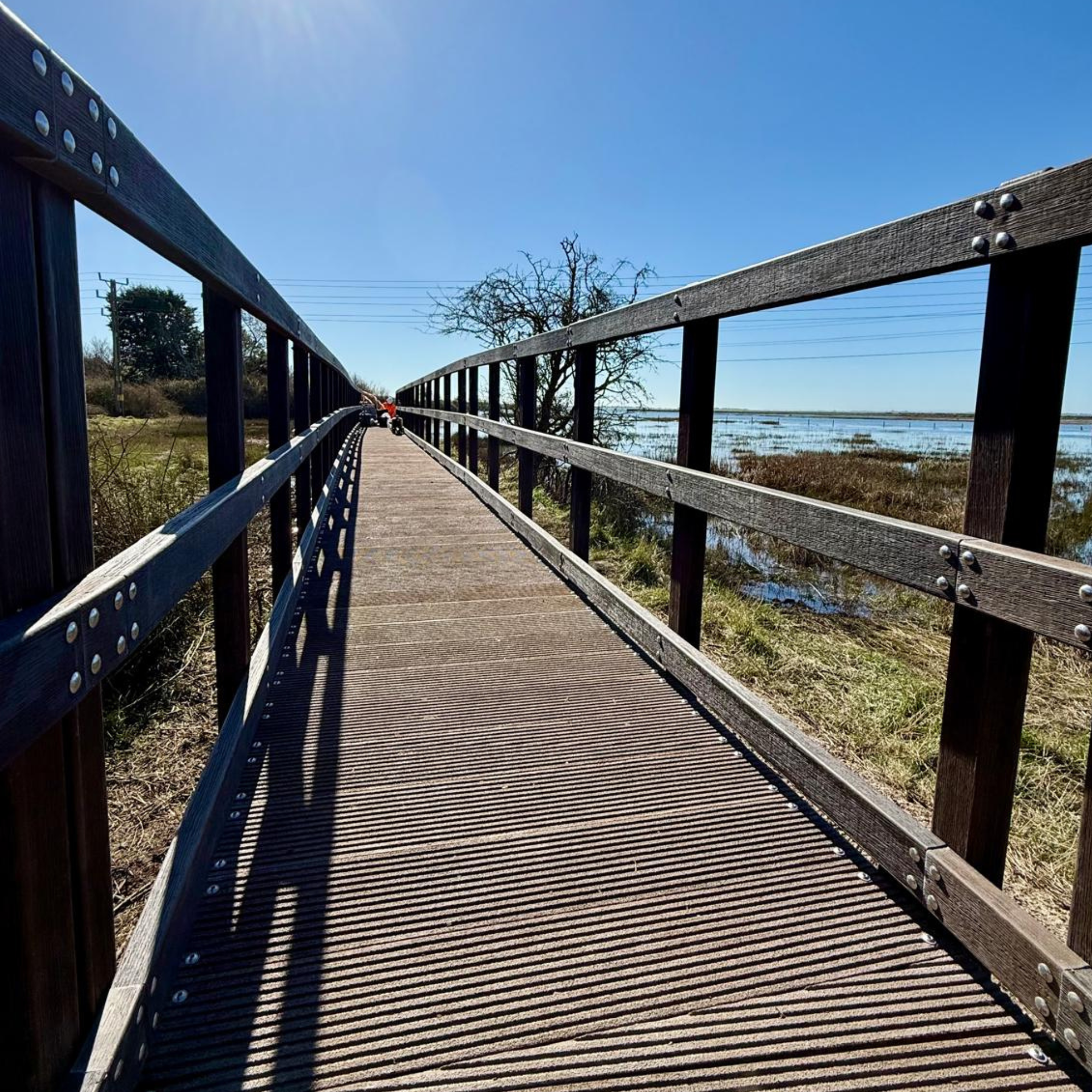 2 7.7km accessible POLYwalk boardwalk at Peddars Way, Brancaster, made from recycled plastic for the King Charles III England Coast Path in Norfolk