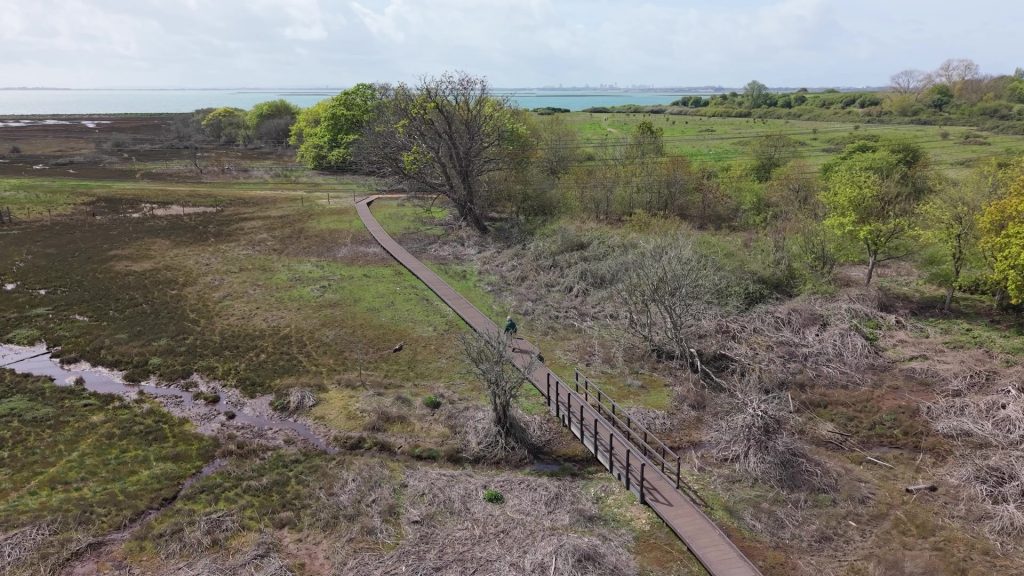 Southmoor Nature Reserve