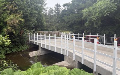 Topographical Surveys: What You Need to Know Before Starting a Bridge or Boardwalk Project